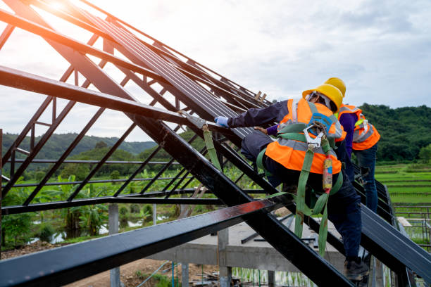 Best Roof Gutter Cleaning  in Stony Point, MI