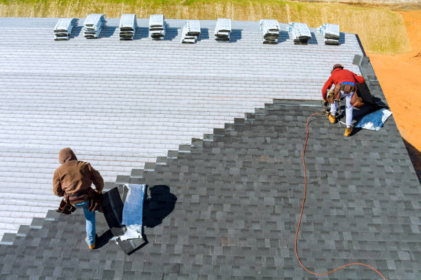 Best Roof Waterproofing Services  in Stony Point, MI