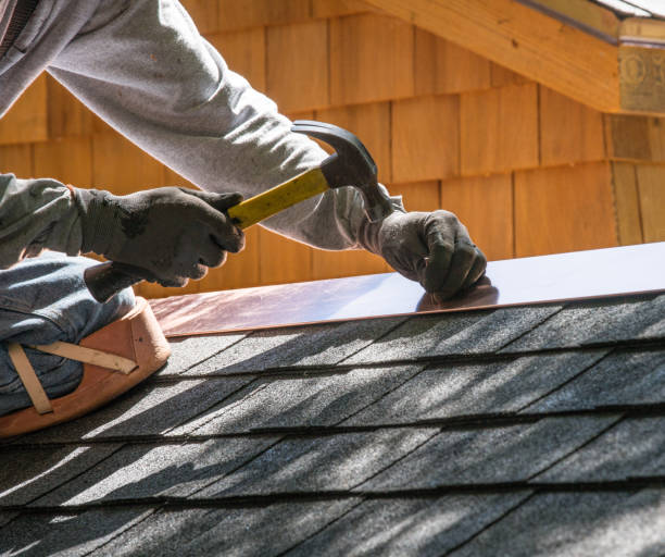 Best Roof Gutter Cleaning  in Stony Point, MI
